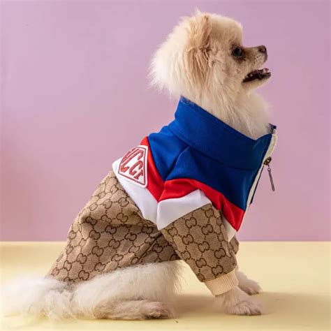 gucci dog clothes wholesale.